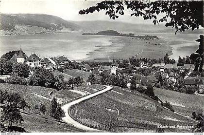 suisse - ref D219- cerlier et l ile de st pierre - erlach und petersinsel - carte bon etat