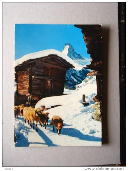 Switzerland-  Winkelmatten bei Zermatt   D115192