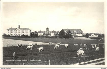 11913789 Zollikofen Landwirtschaftschule Kuehe