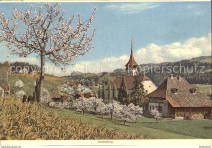 12519811 Steffisburg Kirche Panorama