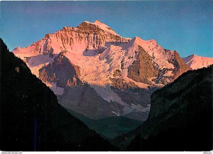 Suisse - BE Berne - Jungfrau - Sonnenuntergang - CPM - Carte Neuve - Voir Scans Recto-Verso