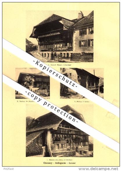 Photographien / Ansichten , 1928 , Montbovon , Charmey , Bellegarde , Lessoc , Prospekt , Architektur , Fotos !!