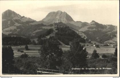 10792657 Gruyeres FR Gruyeres Schloss *