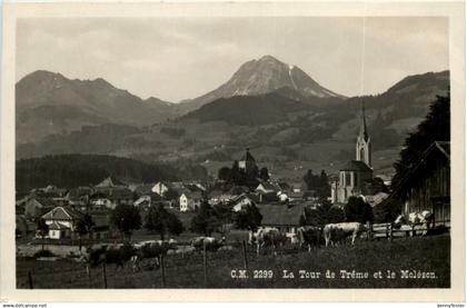 La Tour de Treme et le Moleson