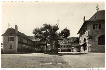 CPSMPF(SUISSE)    CELIGNY la place