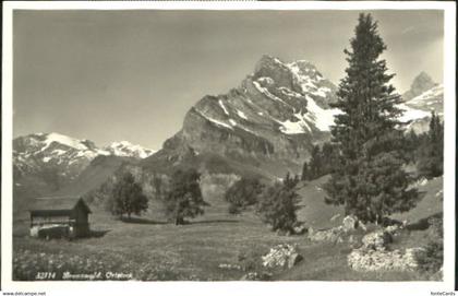 Braunwald GL Braunwald  x 1934