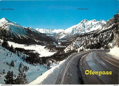 Suisse - GR Grisons - Ofenpass (2149m)  - Blick gegen Buffalora - Il Fuom - Zernez - Wunt la Schera - Piz del Fuorn - CP