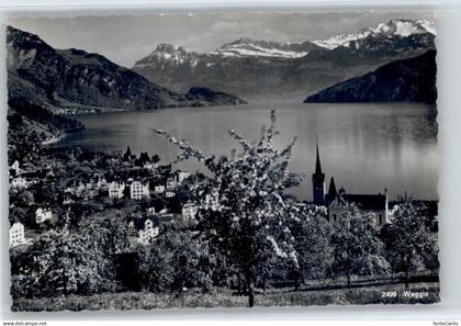 10719691 Weggis Vierwaldstaettersee Weggis  *