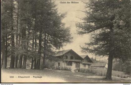 11304109 Chaumont NE Chalet des Melezes Chaumont