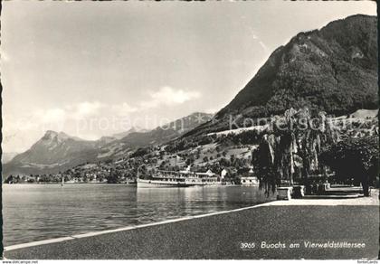 12046168 Buochs Uferpromenade Vierwaldstaettersee Dampfer Alpen