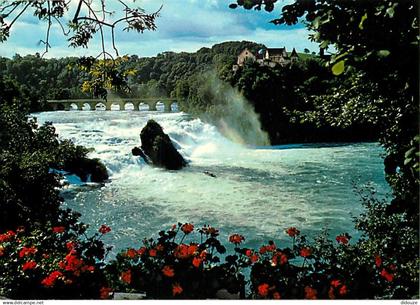 Suisse - SH Schaffhouse - Rheinfall - Chutes du Rhin - Rheinfall bei Neuhausen - CPM - Carte Neuve - Voir Scans Recto-Ve