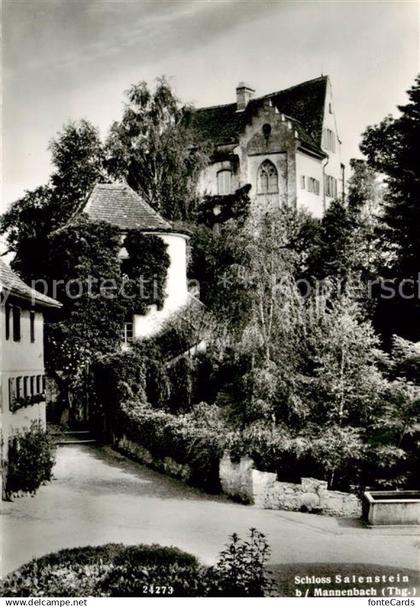 13811306 Mannenbach-Salenstein TG Schloss Salenstein