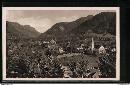 AK Bürglen, Ortsansicht aus der Vogelschau