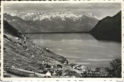 11096653 Epesses Alpes Vaudoises