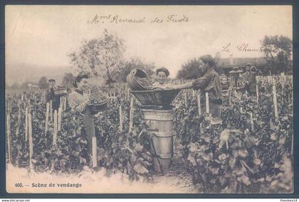 Vaud Mont sur Rolle  Le Chauchey Nyon Domaine de Crochet Rosset Mme Renaud du Clos des Truits Carte photo