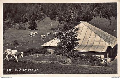 Suisse - SAINT CERGUE (VD) Paturage - Ed. O. Sartori 329