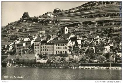 Suisse - St Saphorin - Panorama