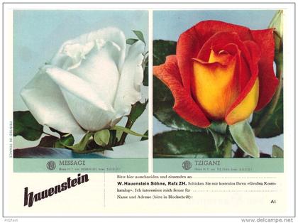 original Werbung / Reklame - 1959 - Rosen , W. Hauenstein in Rafz , Blumen , Blumenhaus  !!!