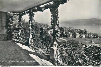 Wädenswil vom Schloss aus