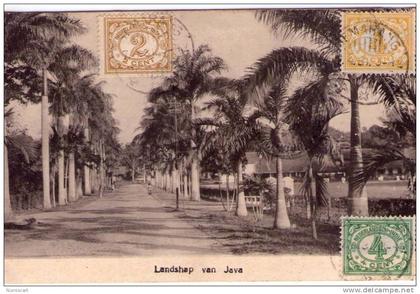 Surinam..Landshap van Java..Carte Rare..Top carte