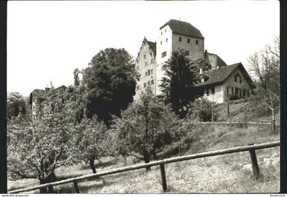 10554042 Wildegg Schloss Wildegg  o