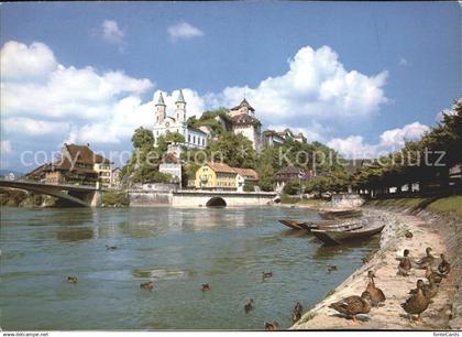 11852183 Aarburg AG Enten Boote Bruecke Aarburg