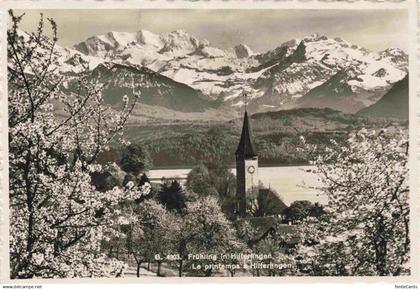 13990631 Hilterfingen Thunersee BE Fruehling in Hilterfingen