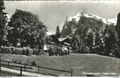 Grindelwald Grindelwald Hotel