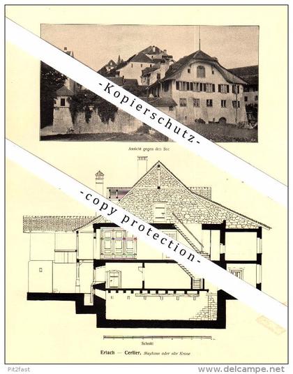 Photographien / Ansichten , 1917 , Erlach - Cerlier , Prospekt , Fotos , Architektur !!!