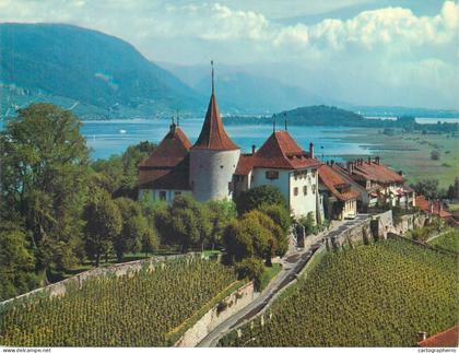 Switzerland Erlach Chateau de Cerlier und Peterinsel