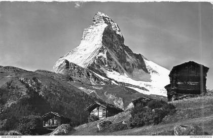 [-50%] SUISSE - Zermatt - Winkelmatten - Matterhorn - Carte postale ancienne