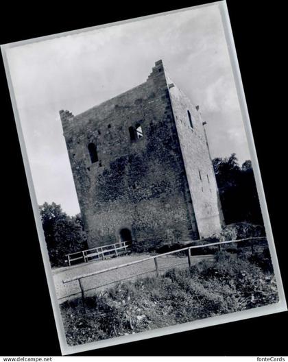 10718016 Muttenz Muttenz Ruine Wartenberg *