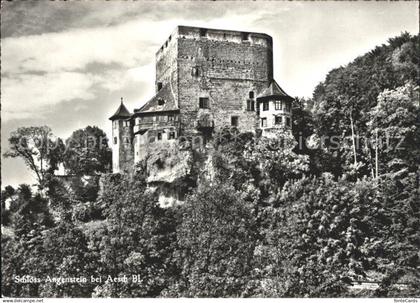 12038294 Aesch BL Schloss Angenstein Aesch BL