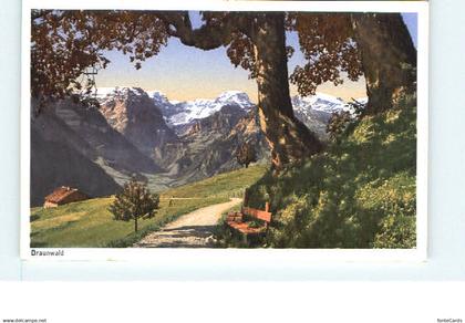 10546097 Braunwald GL Braunwald