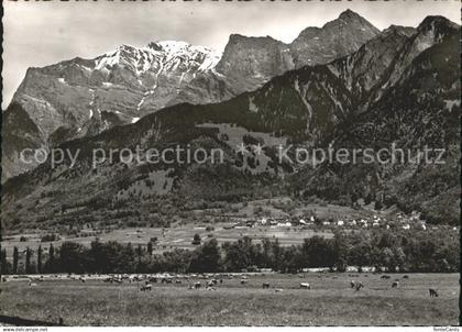 11647657 Jenins Panorama mit Falknis und Gleckhorn Raetikon