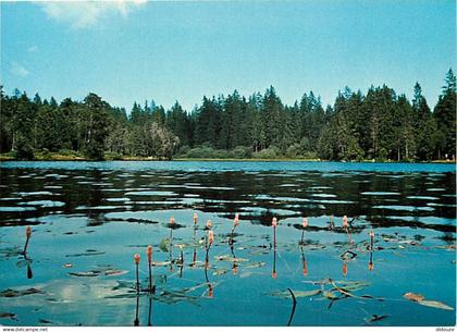 Suisse - JU Jura - Etang de la Gruère - CPM - Carte Neuve - Voir Scans Recto-Verso