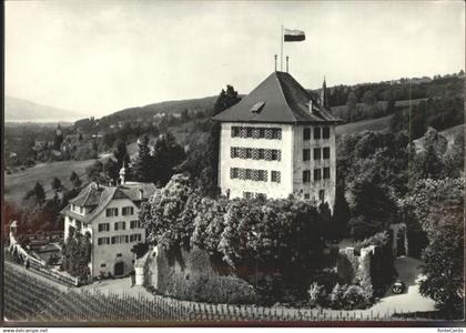 11309914 Gelfingen Schloss Heidegg   Fliegeraufnahme