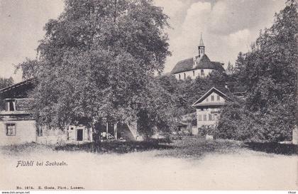 SUISSE(FLUHLI) ARBRE