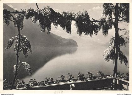 SUISSE - Am Luganersee - Lac de Lugano - vue générale - Carte Postale Ancienne