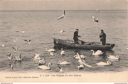 SUISSE - Lac Léman - Les cygnes du lac Léman - Carte postale ancienne