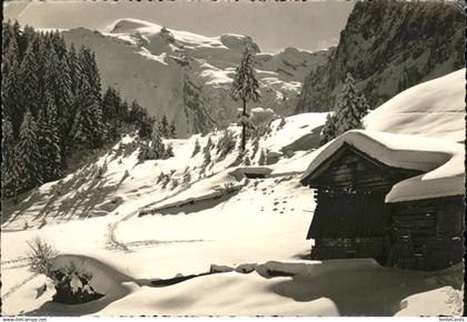 11337317 Engelberg OW Skigebiet Gerschnialp Engelberg mit Titlis Engelberg