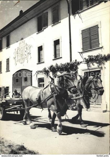 11629808 Neunkirch Bauernhof Pferdefuhrwerk