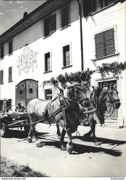 11629814 Neunkirch Bauernhof Pferdefuhrwerk