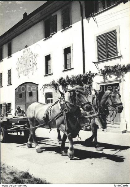 11629854 Neunkirch Bauernhof Pferdefuhrwerk