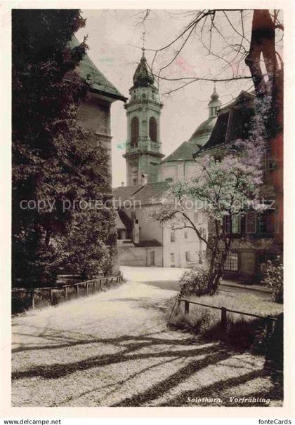 14010125 Solothurn Soleure SO Kirche im Vorfruehling