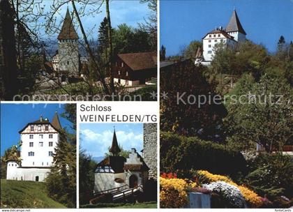 12578849 Weinfelden Schloss Weinfelden Teilansichten