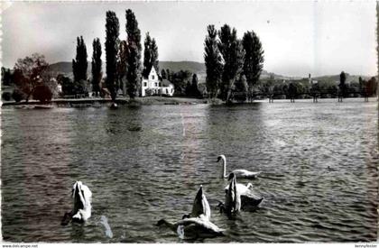 Eschenz - Cafe Insel Werd