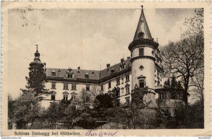 Schloss Steinegg bei Hüttwilen