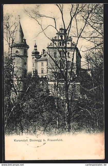 AK Hüttwilen, Kuranstalt Schloss Steinegg