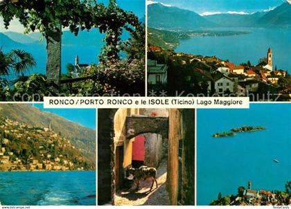 13050666 Ronco sopra Ascona Porto Ronco e le Isole Lago Maggiore